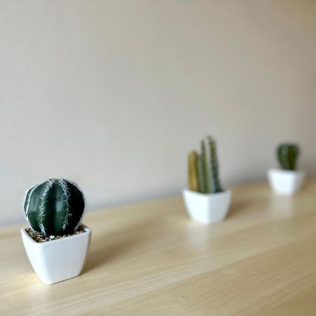 Mmrent Desert Room Gdansk Exterior photo